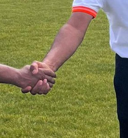 5e386e94-94d1-488a-85ea-465ad542e625