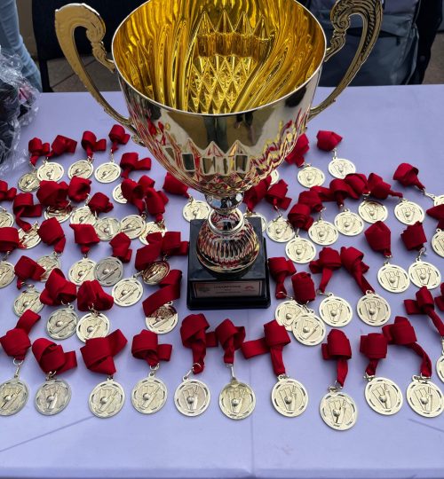 9cac631d-310f-42e9-9d27-bf264ec0245b